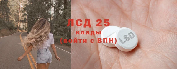 ПСИЛОЦИБИНОВЫЕ ГРИБЫ Алексин
