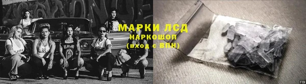 эйфоретик Алзамай