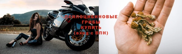 эйфоретик Алзамай