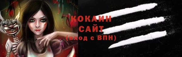ПСИЛОЦИБИНОВЫЕ ГРИБЫ Алексин