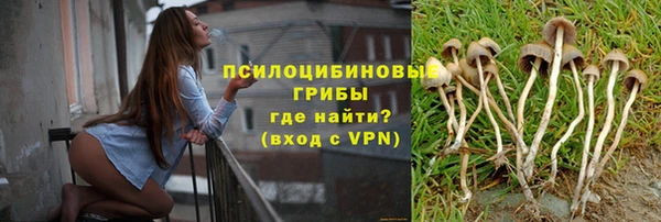 эйфоретик Алзамай