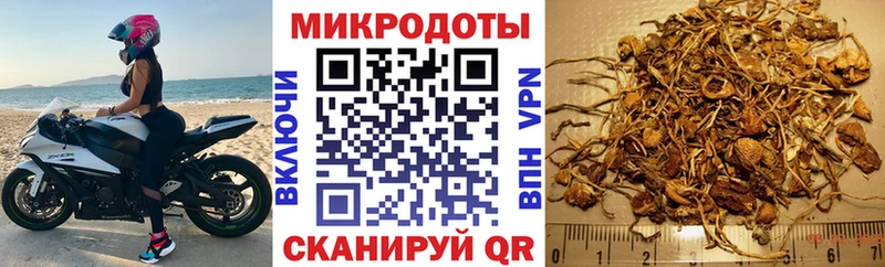 Галлюциногенные грибы прущие грибы  Бахчисарай 