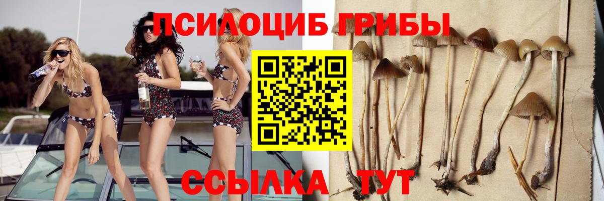 купить наркотик  Галлюциногенные грибы MAGIC MUSHROOMS  Галлюциногенные грибы GOLDEN TEACHER  Вход с VPN  Бахчисарай 