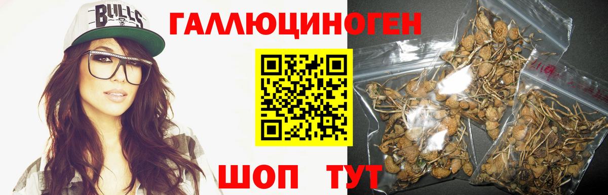 Галлюциногенные грибы Magic Shrooms Бахчисарай